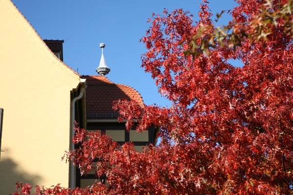 WBG_Uckermark-Templin_eG06