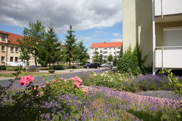 WBG_Uckermark-Templin_eG14